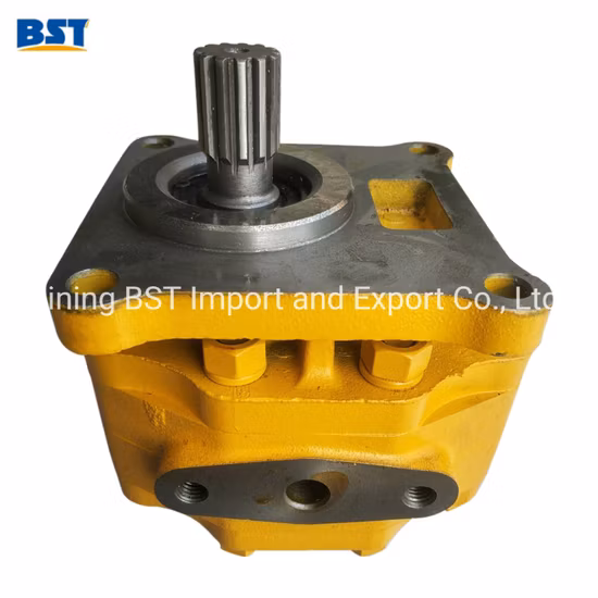 Shantui 모충 불도저 굴삭기 Cummins Weichai Isuzu Perkins 유압/물/연료 분사/오일/기어/작업/조타/변속기/기어 펌프